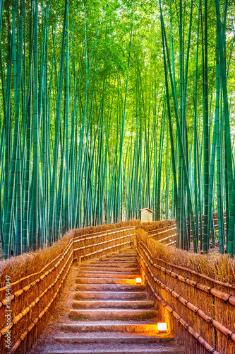 Fototapeta Naklejka Na Ścianę i Meble -  Bamboo Forest in Kyoto, Japan.