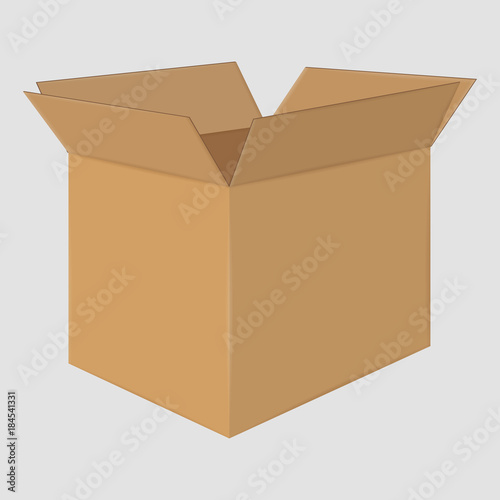 Cardboard Open Box. Side View. Package Design