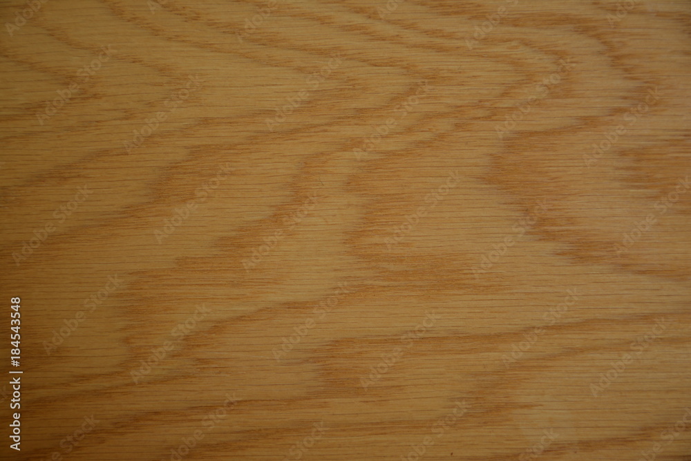 Linden tree texture, wallpaper, close up, background. Linden tree texture, wallpaper, close up, background.