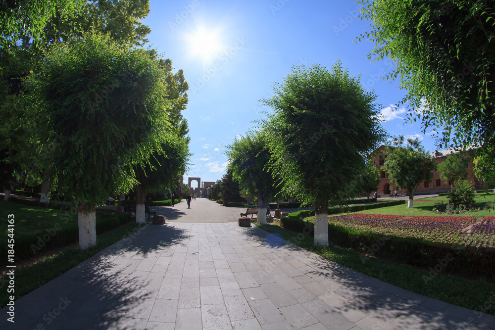 Fototapeta premium park