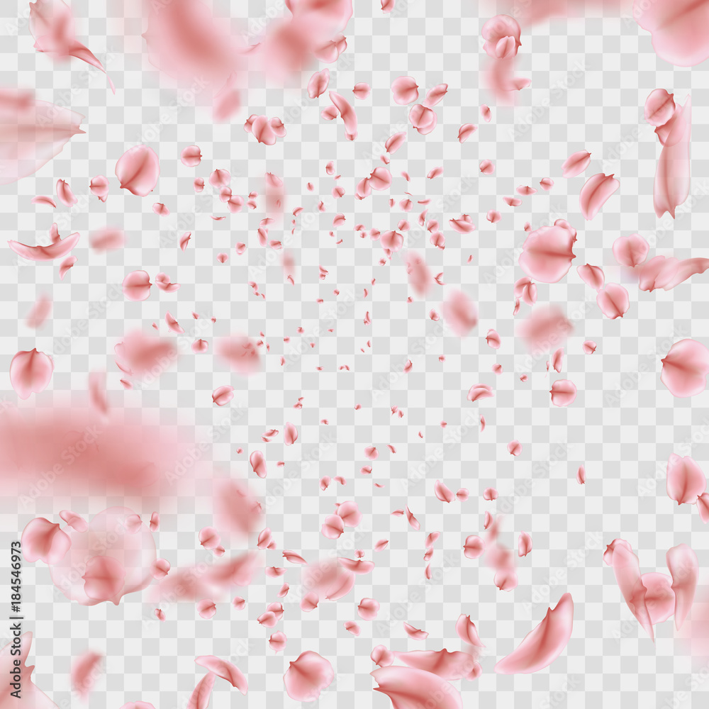 Fly pink Sakura petals effect isolated on transparent background. EPS 10 vector Fly pink Sakura petals effect isolated on transparent background. EPS 10 vector