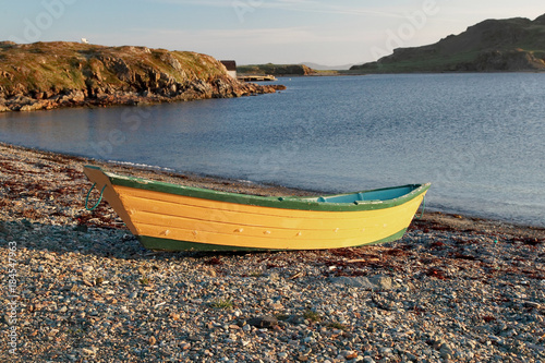 Yellow Dory