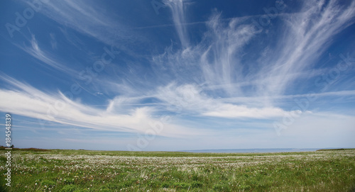 Skyscape