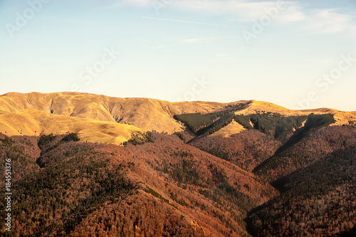 Mountain peaks in a warm bright sunlight.Fir trees downwards