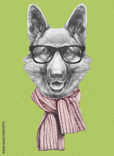 Portrait of German Shipherd with glasses and scarf, hand-drawn illustration