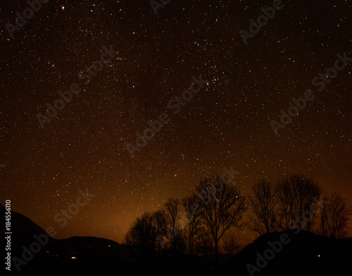 a group of trees in front of the nightly sky
