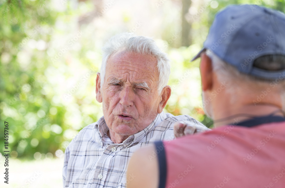 Two senior men talking in park
