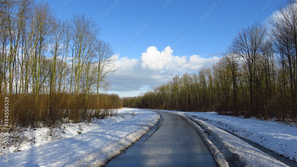 Obraz premium Winter Landscape With Road Running Through Forest