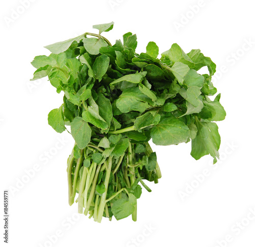 A watercress bunch on white background