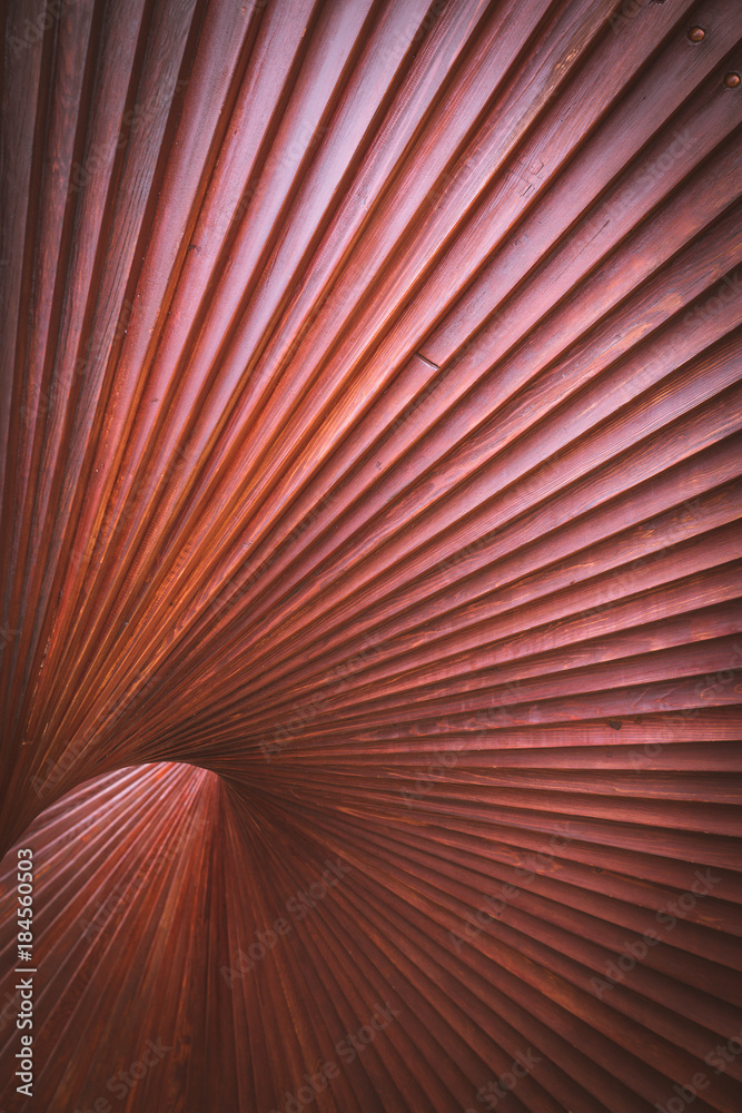 Obraz premium abstract wood structure