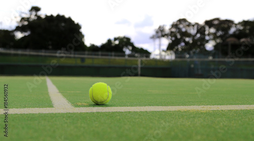 テニスコートとボール © DOUBLE BAGEL