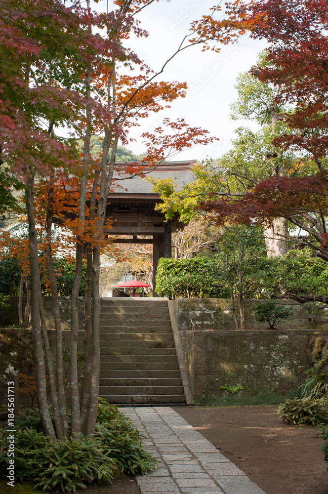 鎌倉のお寺の紅葉