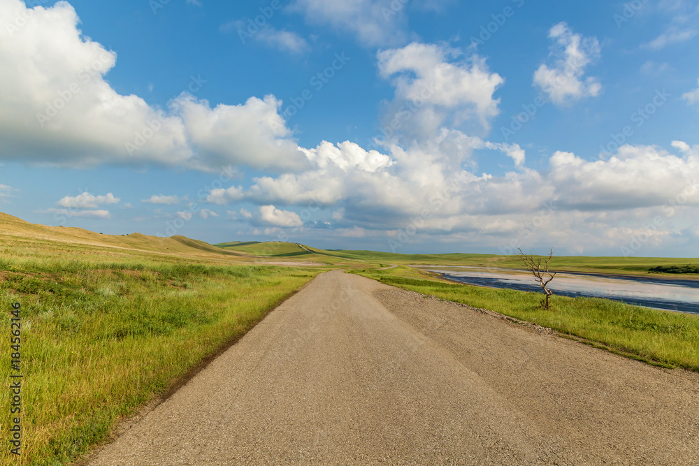 lonely dry tree near the road near a dried-up lake. A beautiful landscape with a road, blue sky, white linens, dry wood, and a dried-up lake.