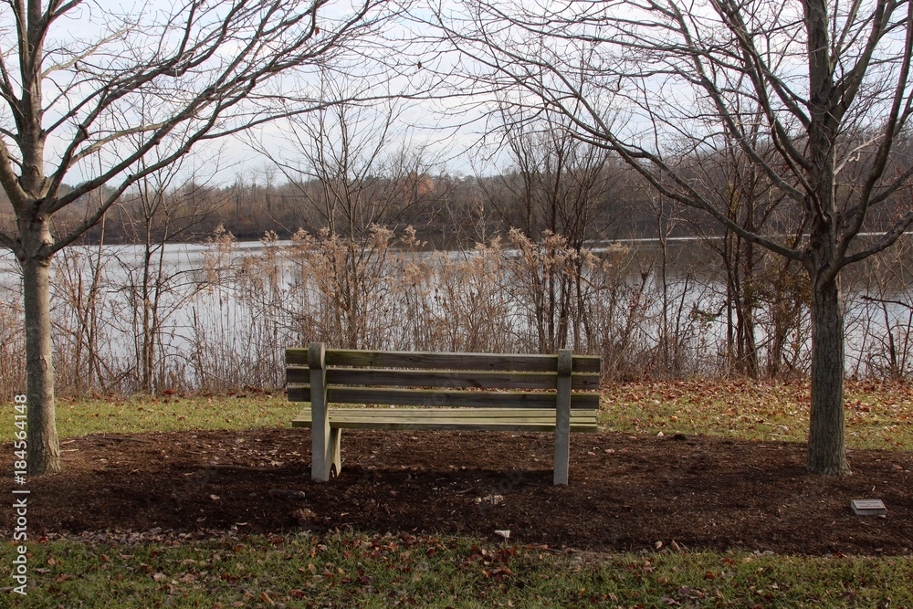 Behind a empty park bench with a view of the lake in the park.