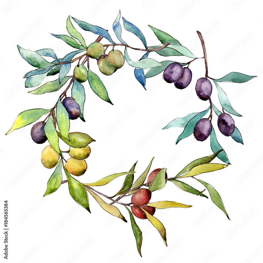 Olive tree wreath in a watercolor style. Full name of the plant ...