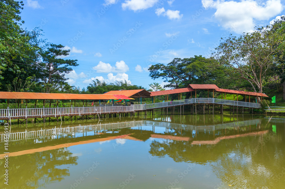 Wooden bridge through the tropical river Wooden bridge through the tropical river