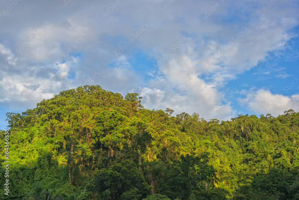 Obraz premium Mountain with jungle trees aerial picture at sunset, Philippines