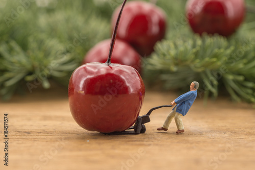 Miniature of storeman and christmas decoration