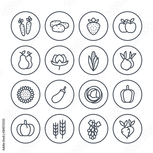 Harvest  farming line icons set on white