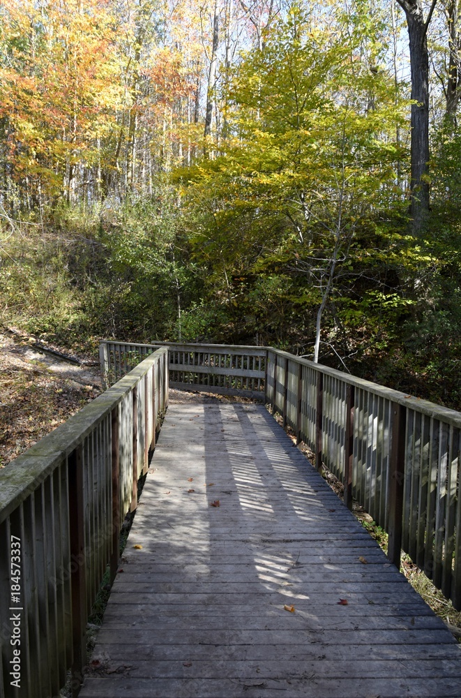 wooden footbridge leading into a Autumn foliage forest, , Fanshawe Recreation area, London Ontario, Canada wooden footbridge leading into a Autumn foliage forest, , Fanshawe Recreation area, London Ontario, Canada