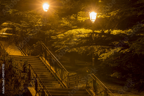 Fototapeta Naklejka Na Ścianę i Meble -  city park stairs