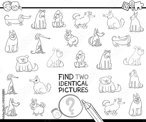 find two identical dog pictures color book