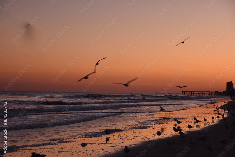 Fototapeta premium Sunset on the Beach of Myrtle Beach South Carolina