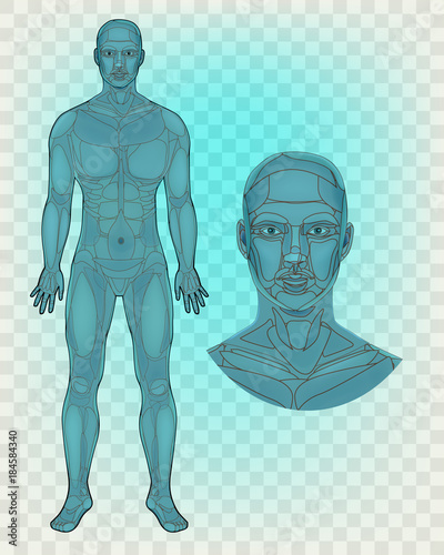 Anatomy of the body man - template.  Carcass Black Lines drawing. 