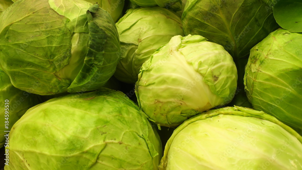 cabbage cabbage