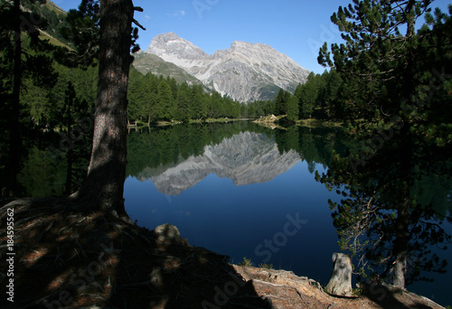 Palpuognasee photo