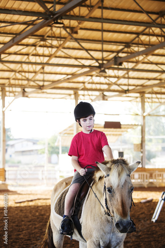 A little boy riding a horse. First lessons of horseback riding © Victoria Key