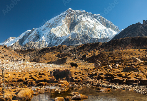 Nuptse, Everest region, Himalaya, Nepal photo