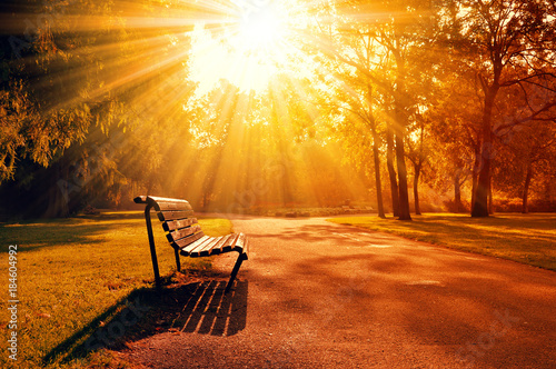 Fotografia Bench in a park during beautiful sunset