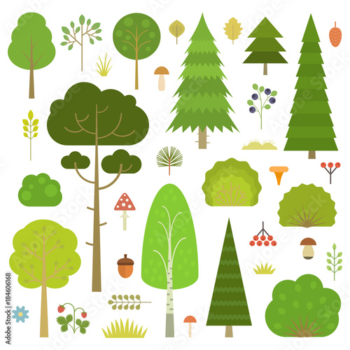 Set of flat vector forest elements: trees, spruce, pine, grass, mushrooms, moss, berries and bushes isolated on transparent background.