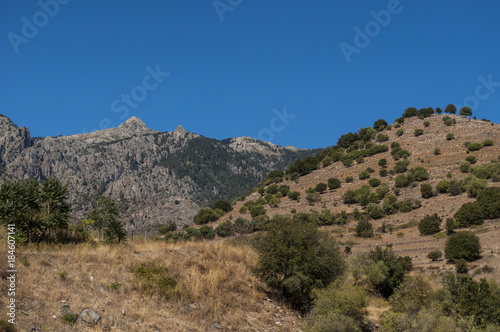 Corsica, 31/08/2017: il paesaggio selvaggio dell'entroterra dell'isola con vista sugli alberi e le praterie della Valle dell'Asco, chiamata l'Alto Centro della Corsica