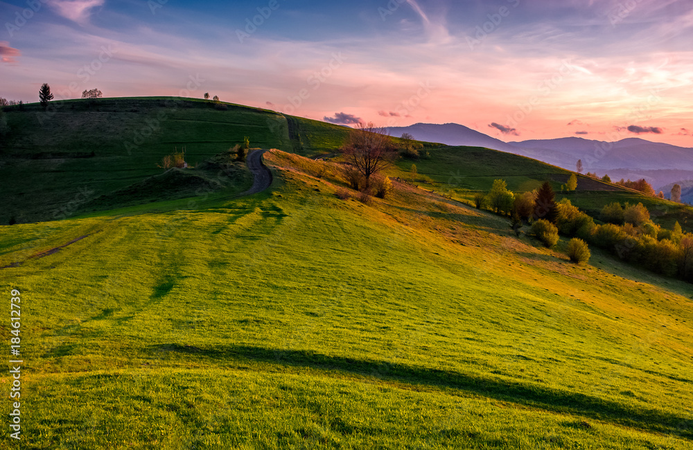 grassy pasture on hillside at sunset. beautiful springtime countryside in mountainous rural area
