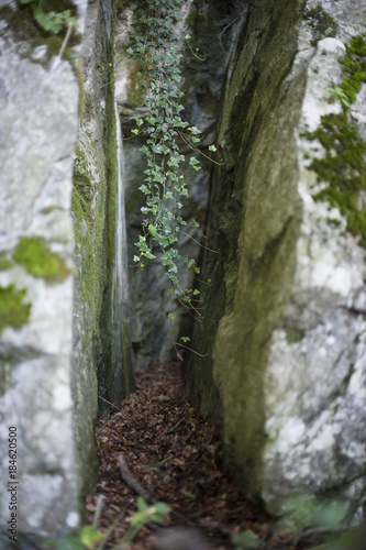 Weg durch Felsspalte photo