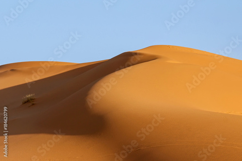 golden sand dune with blue sky in Sahara desert