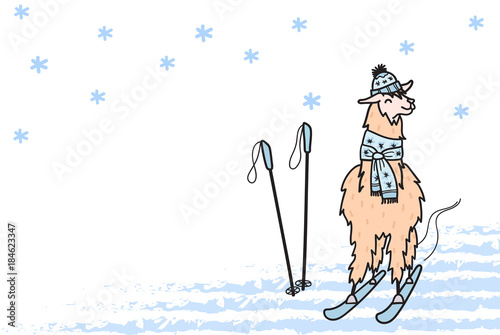 Vector illustration. Cute character lama