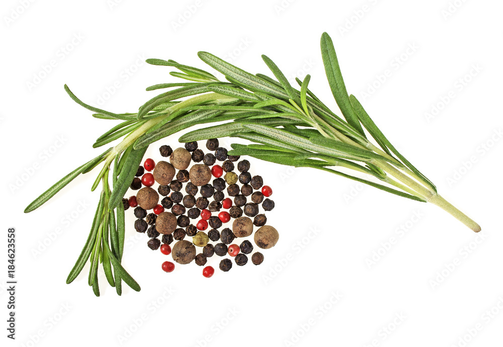 Rosemary herb spice leaves and peppercorns isolated on a white background