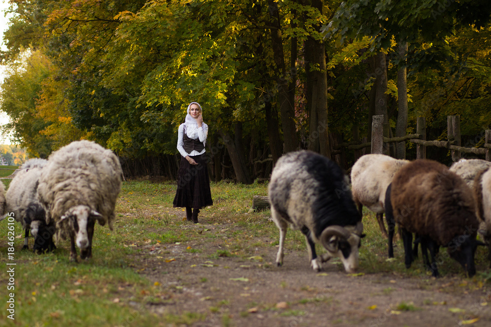 Woman stroking sheep on a green glade Woman stroking sheep on a green glade
