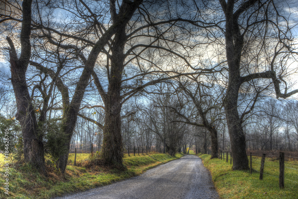 A long narrow road in Cades Cove surrounded with the bare trees of winter. A long narrow road in Cades Cove surrounded with the bare trees of winter.