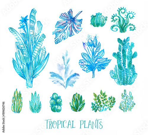 Set of hand drawn tropical plants and succulents isolated on white. Marker pens and watercolor