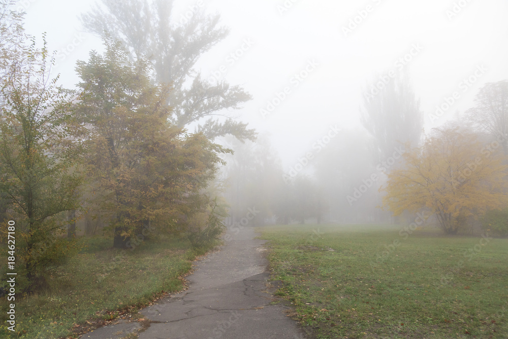 Misty autumn morning