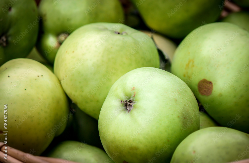 Reed Basket of Freshly Picked Granny Smith Apples Reed Basket of Freshly Picked Granny Smith Apples