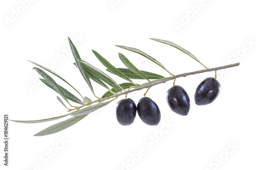 Close uo on black olive with his leaf and shadow on white backgeound