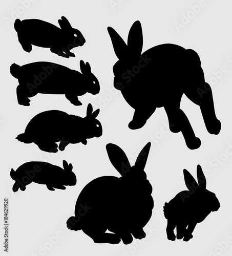 Rabbit pet animal silhouette Good use for symbol, logo, web icon, mascot, sign, sticker, or any design you want 