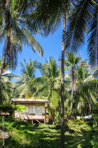 A traditional picturesque shed in the Philippine palm tree forest