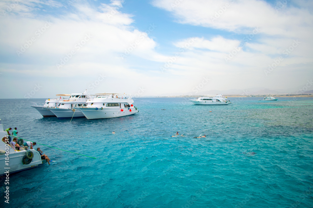 rest on the azure sea. bay. white yachts on blue water.. coral reefs. hobby. relaxation. luxury rest. travelling rest on the azure sea. bay. white yachts on blue water.. coral reefs. hobby. relaxation. luxury rest. travelling