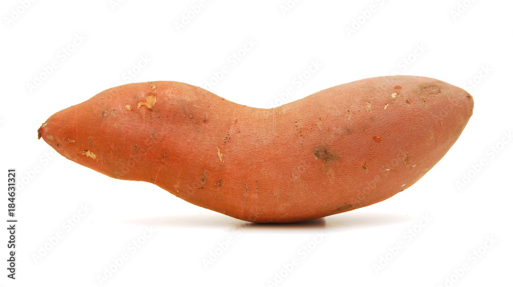 sweet potato on the white background sweet potato on the white background